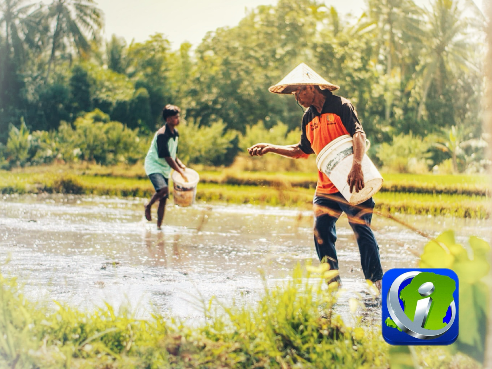 Terus Produktif di Lahan SAE, Warga Binaan Lapas Lombok Barat Lakukan Penyemaian Padi